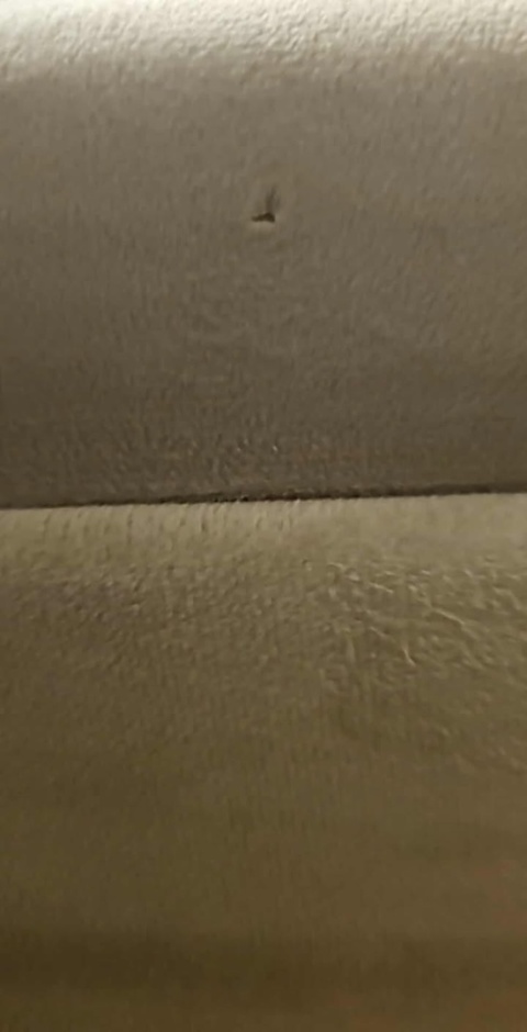 Puf aksamitny ze schowkiem 80x41x40 cm - kremowy - 40L - max 120 kg