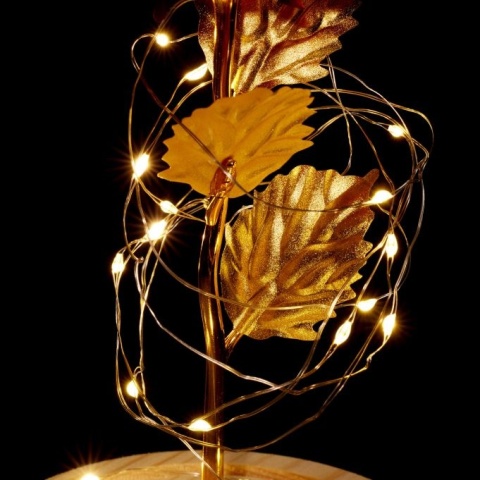 Wieczna róża w szkle podświetlana LED 22x11cm czerwono-złota szkło drewno