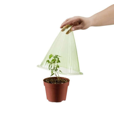 Zestaw 24 kapeluszy ochronnych na rośliny PVC przezroczysta zieleń 22x19,5x18,5cm wentylacja